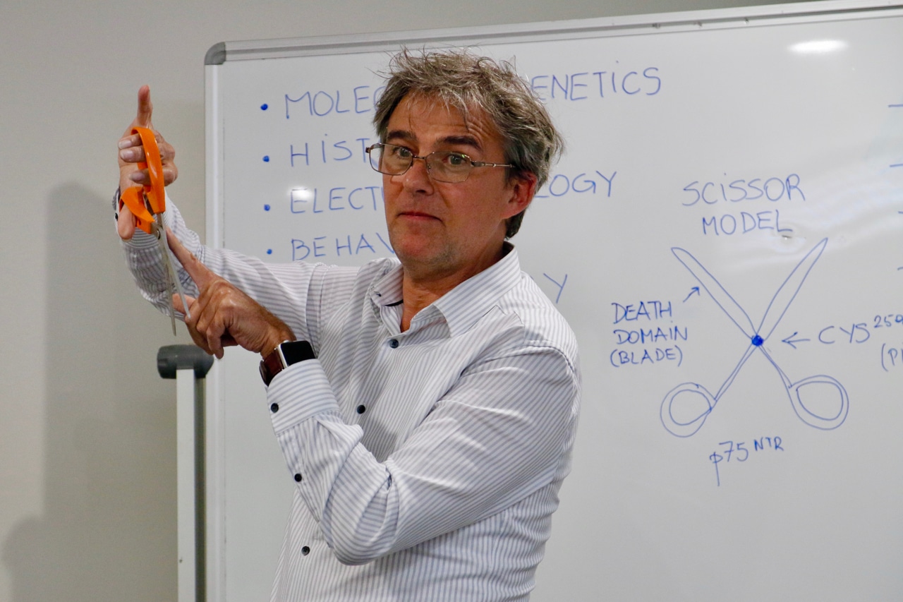 Thumbnail for Studying the neurobiology of Alzheimer’s Disease in the hope of future treatment - Fellows' seminar by Carlos Ibanez