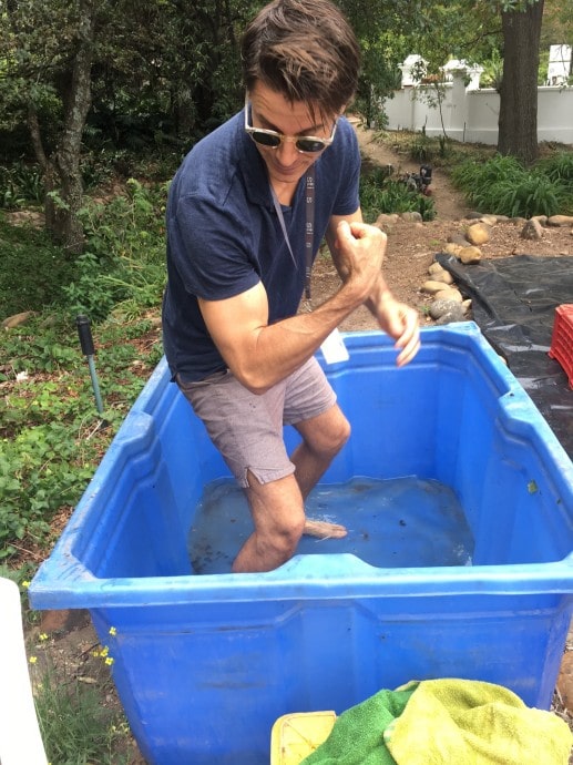 STIAS fellow Martin Ruehl