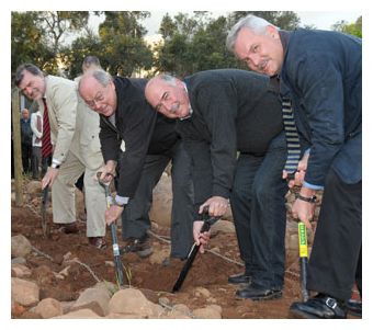 Stellenbosch gets a ‘village vineyard’