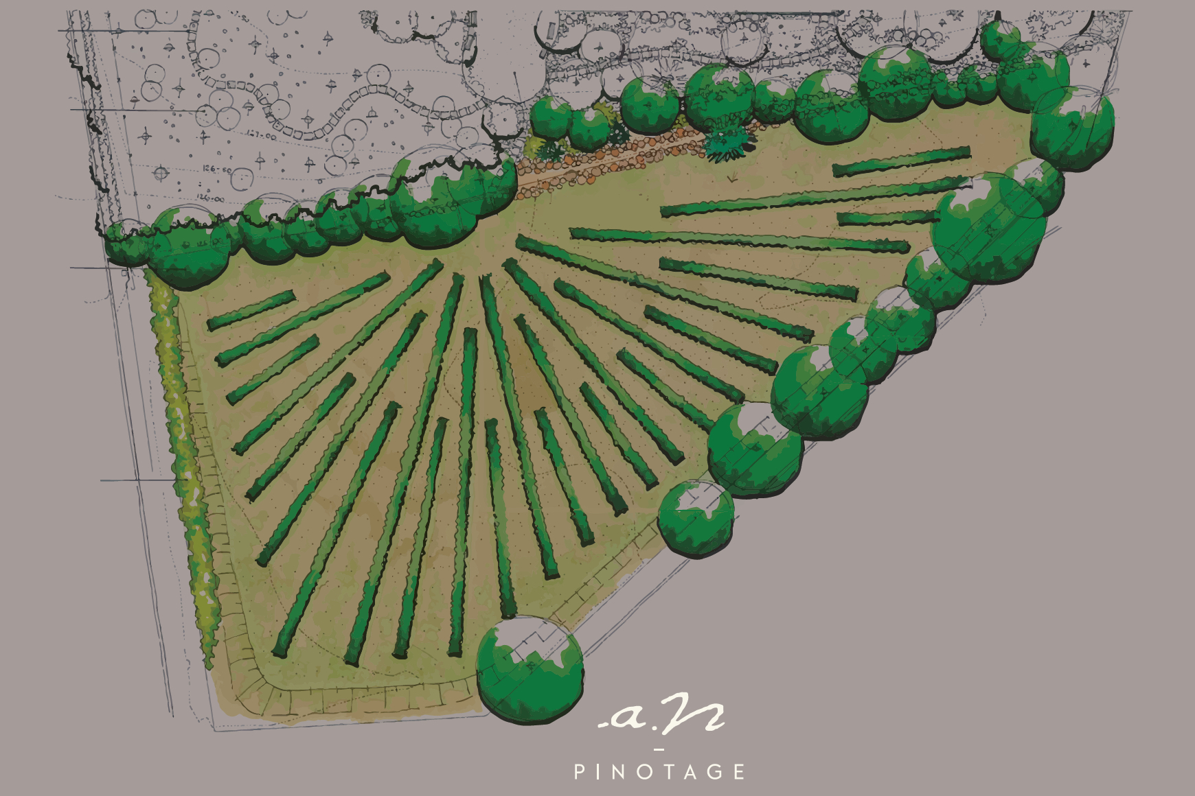 Drawing of the STIAS vineyard