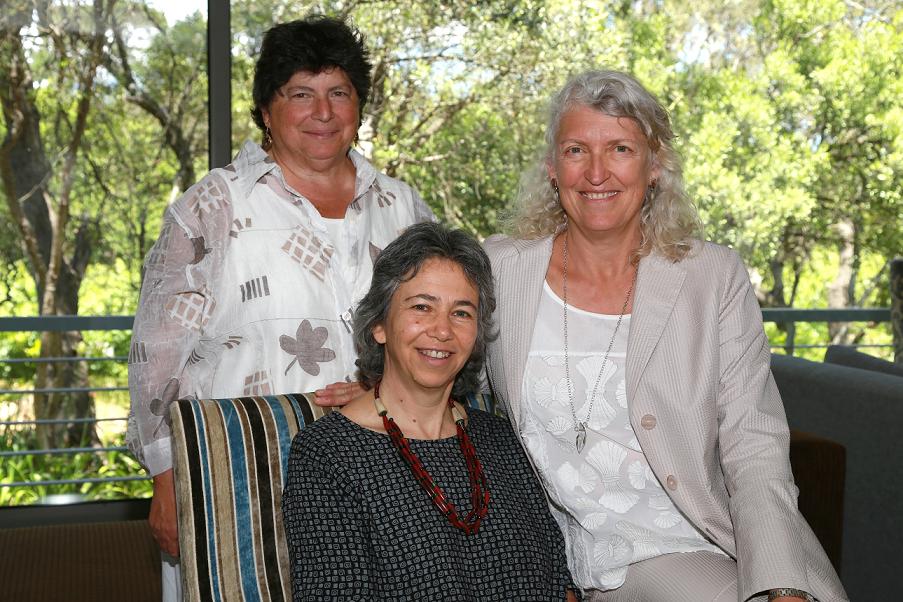 A crucible for our thoughts - social transformation through the arts