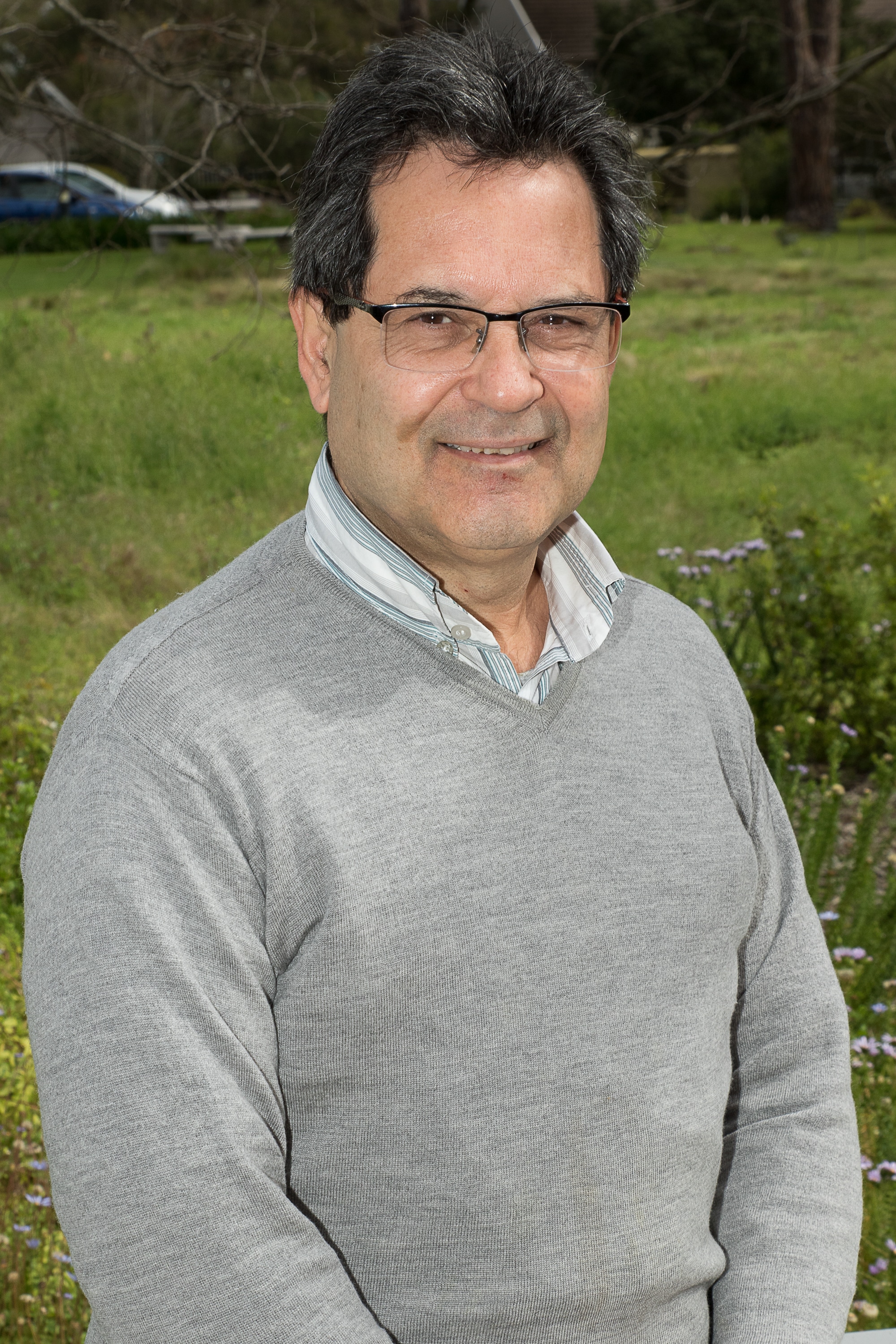 Reimagining democracy - Fellows' seminar by Marcelo Neves