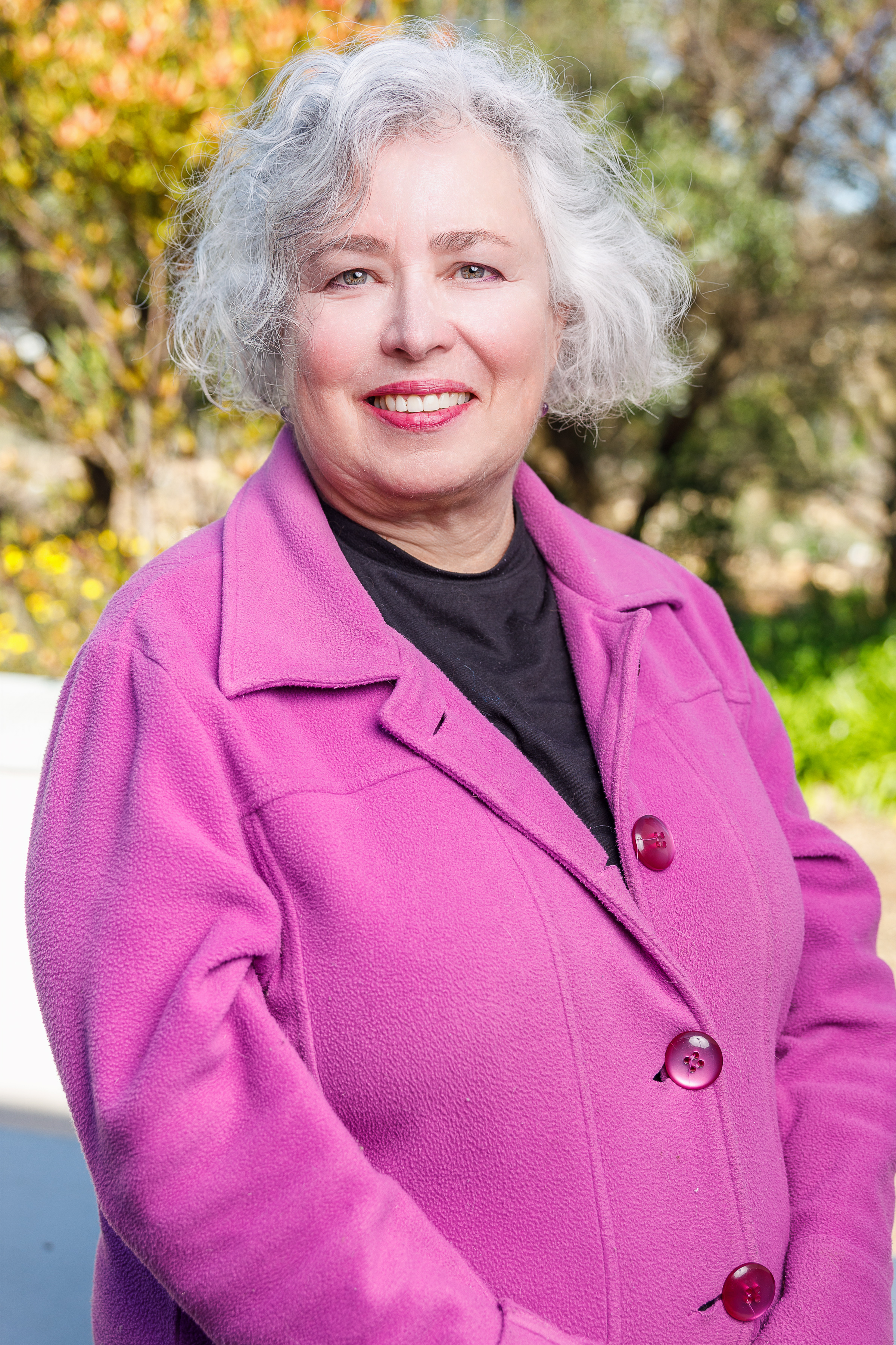 Photo of Restoration, rejuvenation and revitalisation: salvaging the past and building new futures - Fellows' seminar by Helen Moffett